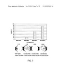 NOVEL COCHLEATE FORMULATIONS diagram and image