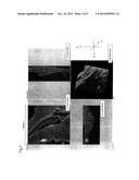 METHOD FOR MANUFACTURING ALOE POWDER diagram and image