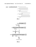 Peptide-Lipid Conjugates And Uses Thereof diagram and image