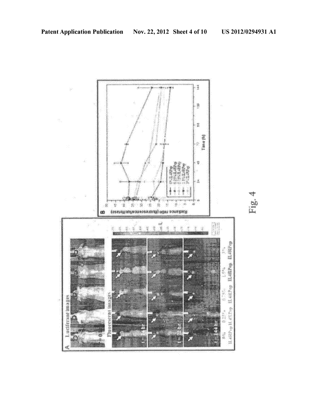 TARGET-AIMING DRUG DELIVERY SYSTEM FOR DIAGNOSIS AND TREATMENT OF CANCER     CONTAINING LIPOSOME LABELED WITH PEPTIDES WHICH SPECIFICALLY TARGETS     INTERLEUKIN-4 RECEPTORS, AND MANUFACTURING METHOD THEREOF - diagram, schematic, and image 05