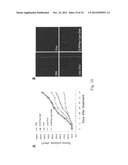 TARGET-AIMING DRUG DELIVERY SYSTEM FOR DIAGNOSIS AND TREATMENT OF CANCER     CONTAINING LIPOSOME LABELED WITH PEPTIDES WHICH SPECIFICALLY TARGETS     INTERLEUKIN-4 RECEPTORS, AND MANUFACTURING METHOD THEREOF diagram and image