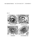 DRUG DELIVERY SYSTEM USING HYALURONIC ACID-PEPTIDE CONJUGATE MICELLE diagram and image