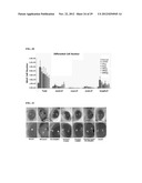 DRUG DELIVERY SYSTEM USING HYALURONIC ACID-PEPTIDE CONJUGATE MICELLE diagram and image