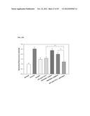 DRUG DELIVERY SYSTEM USING HYALURONIC ACID-PEPTIDE CONJUGATE MICELLE diagram and image