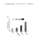 DRUG DELIVERY SYSTEM USING HYALURONIC ACID-PEPTIDE CONJUGATE MICELLE diagram and image