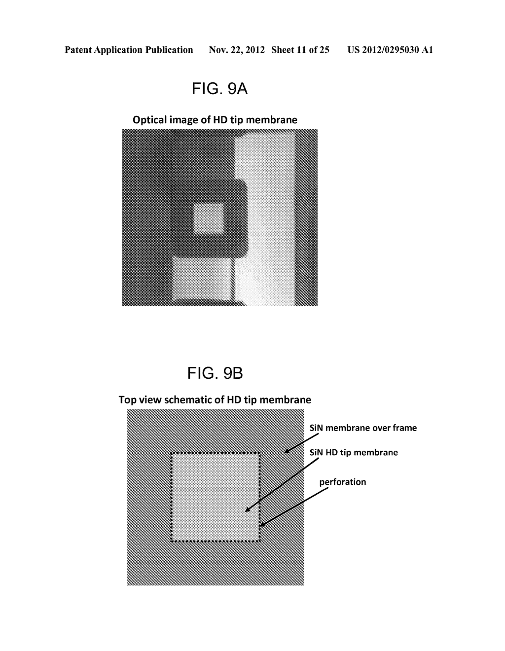 HIGH DENSITY, HARD TIP ARRAYS - diagram, schematic, and image 12