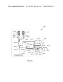 DERMAL MICRO-ORGANS, METHODS AND APPRATUSES FOR PRODUCING AND USING THE     SAME diagram and image