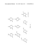 PNA PROBES, MIXTURES, METHODS AND KITS PERTAINING TO THE DETERMINATION OF     MYCOPLASMA AND RELATED MOLLICUTES diagram and image