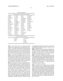 PNA PROBES, MIXTURES, METHODS AND KITS PERTAINING TO THE DETERMINATION OF     MYCOPLASMA AND RELATED MOLLICUTES diagram and image