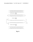 METHODS FOR ACCURATE SEQUENCE DATA AND MODIFIED BASE POSITION     DETERMINATION diagram and image