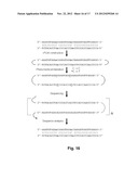 METHODS FOR ACCURATE SEQUENCE DATA AND MODIFIED BASE POSITION     DETERMINATION diagram and image