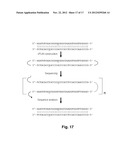 METHODS FOR ACCURATE SEQUENCE DATA AND MODIFIED BASE POSITION     DETERMINATION diagram and image