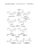 FLUORESCENT MOLECULAR PROBES FOR USE IN ASSAYS THAT MEASURE TEST COMPOUND     COMPETITIVE BINDING WITH SAM-UTILIZING PROTEINS diagram and image