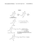 FLUORESCENT MOLECULAR PROBES FOR USE IN ASSAYS THAT MEASURE TEST COMPOUND     COMPETITIVE BINDING WITH SAM-UTILIZING PROTEINS diagram and image