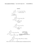 FLUORESCENT MOLECULAR PROBES FOR USE IN ASSAYS THAT MEASURE TEST COMPOUND     COMPETITIVE BINDING WITH SAM-UTILIZING PROTEINS diagram and image