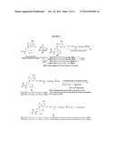 FLUORESCENT MOLECULAR PROBES FOR USE IN ASSAYS THAT MEASURE TEST COMPOUND     COMPETITIVE BINDING WITH SAM-UTILIZING PROTEINS diagram and image