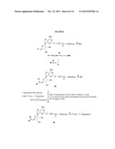 FLUORESCENT MOLECULAR PROBES FOR USE IN ASSAYS THAT MEASURE TEST COMPOUND     COMPETITIVE BINDING WITH SAM-UTILIZING PROTEINS diagram and image