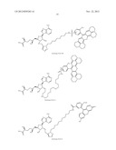 FLUORESCENT MOLECULAR PROBES FOR USE IN ASSAYS THAT MEASURE TEST COMPOUND     COMPETITIVE BINDING WITH SAM-UTILIZING PROTEINS diagram and image