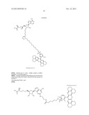 FLUORESCENT MOLECULAR PROBES FOR USE IN ASSAYS THAT MEASURE TEST COMPOUND     COMPETITIVE BINDING WITH SAM-UTILIZING PROTEINS diagram and image