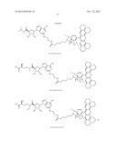 FLUORESCENT MOLECULAR PROBES FOR USE IN ASSAYS THAT MEASURE TEST COMPOUND     COMPETITIVE BINDING WITH SAM-UTILIZING PROTEINS diagram and image