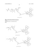 FLUORESCENT MOLECULAR PROBES FOR USE IN ASSAYS THAT MEASURE TEST COMPOUND     COMPETITIVE BINDING WITH SAM-UTILIZING PROTEINS diagram and image