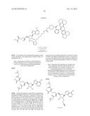 FLUORESCENT MOLECULAR PROBES FOR USE IN ASSAYS THAT MEASURE TEST COMPOUND     COMPETITIVE BINDING WITH SAM-UTILIZING PROTEINS diagram and image