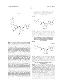 FLUORESCENT MOLECULAR PROBES FOR USE IN ASSAYS THAT MEASURE TEST COMPOUND     COMPETITIVE BINDING WITH SAM-UTILIZING PROTEINS diagram and image