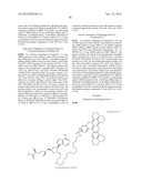 FLUORESCENT MOLECULAR PROBES FOR USE IN ASSAYS THAT MEASURE TEST COMPOUND     COMPETITIVE BINDING WITH SAM-UTILIZING PROTEINS diagram and image