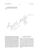 FLUORESCENT MOLECULAR PROBES FOR USE IN ASSAYS THAT MEASURE TEST COMPOUND     COMPETITIVE BINDING WITH SAM-UTILIZING PROTEINS diagram and image