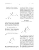 FLUORESCENT MOLECULAR PROBES FOR USE IN ASSAYS THAT MEASURE TEST COMPOUND     COMPETITIVE BINDING WITH SAM-UTILIZING PROTEINS diagram and image