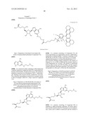 FLUORESCENT MOLECULAR PROBES FOR USE IN ASSAYS THAT MEASURE TEST COMPOUND     COMPETITIVE BINDING WITH SAM-UTILIZING PROTEINS diagram and image