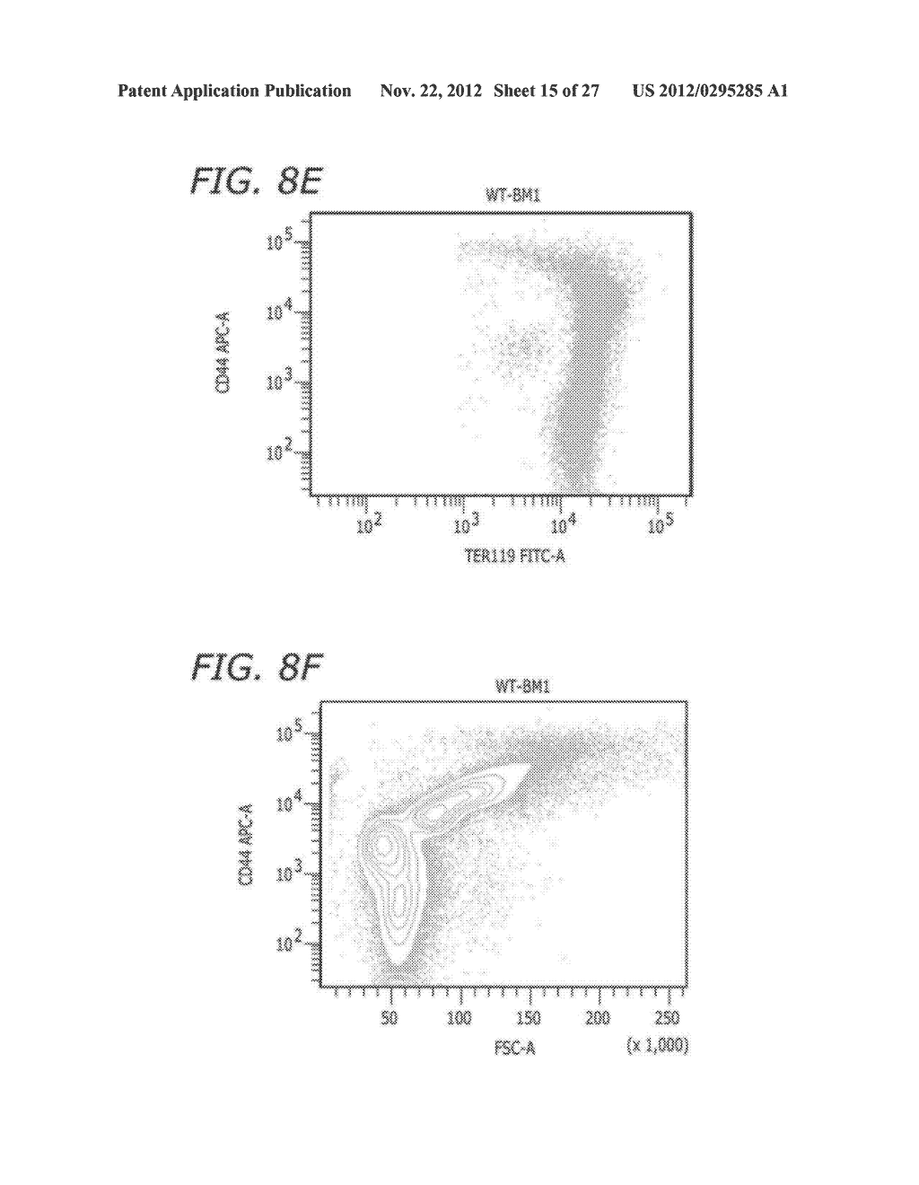 Ordered Assembly of Membrane Proteins During Differentiation of     Erythroblasts - diagram, schematic, and image 16