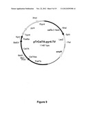 CARBOHYDATE BINDING MODULES WITH REDUCED BINDING TO LIGNIN diagram and image