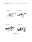 CARBOHYDATE BINDING MODULES WITH REDUCED BINDING TO LIGNIN diagram and image