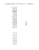 CARBOHYDATE BINDING MODULES WITH REDUCED BINDING TO LIGNIN diagram and image