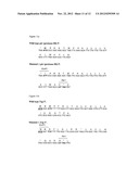 BACTERIAL HOST STRAIN COMPRISING A MUTANT SPR GENE AND HAVING REDUCED TSP     ACTIVITY diagram and image