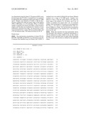 BACTERIAL HOST STRAIN COMPRISING A MUTANT SPR GENE AND HAVING REDUCED TSP     ACTIVITY diagram and image