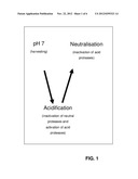 Inactivation of Proteases diagram and image