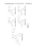 LUCIFERASES AND METHODS FOR MAKING AND USING THE SAME diagram and image