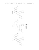 LUCIFERASES AND METHODS FOR MAKING AND USING THE SAME diagram and image