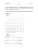 LUCIFERASES AND METHODS FOR MAKING AND USING THE SAME diagram and image