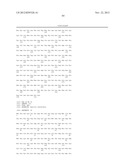 LUCIFERASES AND METHODS FOR MAKING AND USING THE SAME diagram and image