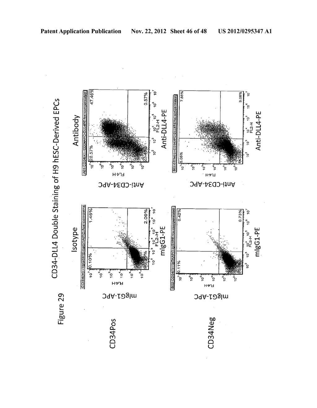 Methods and Compositions for Producing Endothelial Progenitor Cells from     Pluripotent Stem Cells - diagram, schematic, and image 47