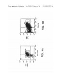 Prospective Identification and Characterization of Breast Cancer Stem     Cells diagram and image