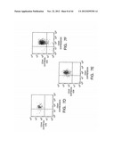 Prospective Identification and Characterization of Breast Cancer Stem     Cells diagram and image