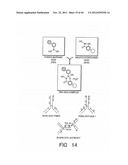 Prospective Identification and Characterization of Breast Cancer Stem     Cells diagram and image