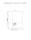 Prospective Identification and Characterization of Breast Cancer Stem     Cells diagram and image