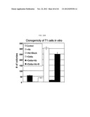 Prospective Identification and Characterization of Breast Cancer Stem     Cells diagram and image