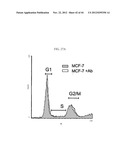 Prospective Identification and Characterization of Breast Cancer Stem     Cells diagram and image