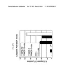 Prospective Identification and Characterization of Breast Cancer Stem     Cells diagram and image